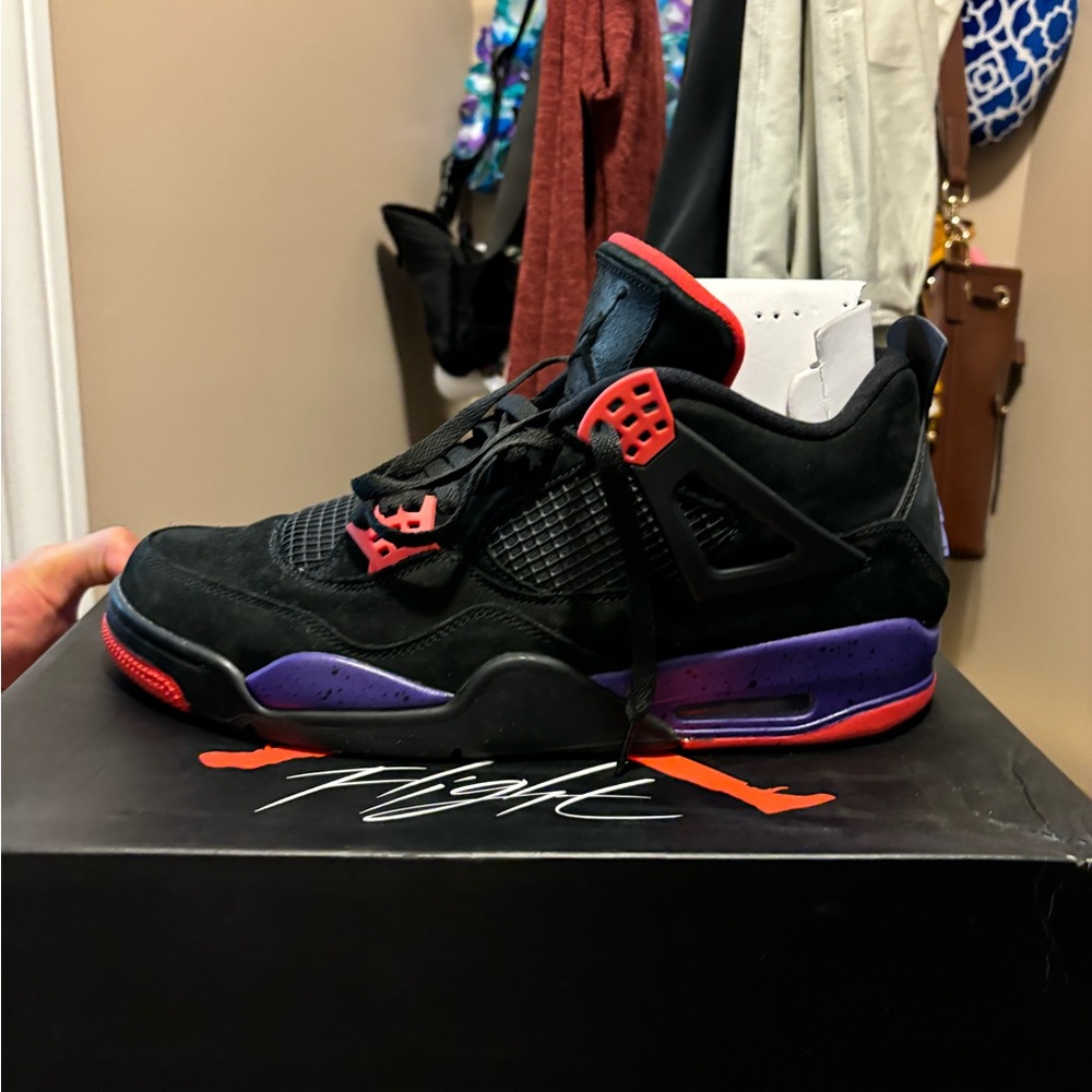 Jordan raptor 4